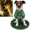 custom made dog bobblehead (dashboard bobblehead) from your picture